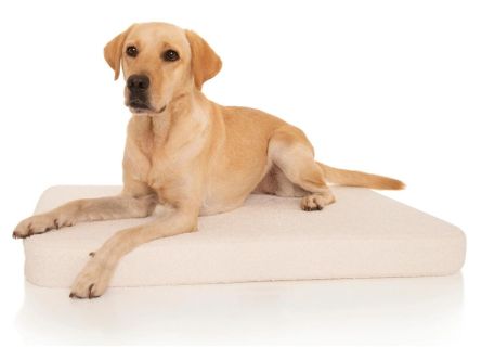 hundebett paletten Vera Hundebett main image 0