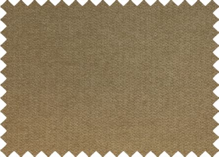 Polsterung Berlin Kamel